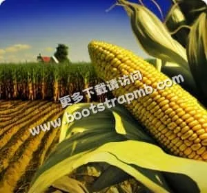 以專業之心，服務每一位體育同好 - kaiyun